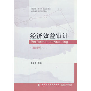 经济效益审计(第四版) 王学龙