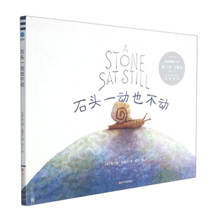 石头一动也不动 布兰登·文策尔