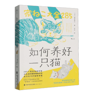 如何养好一只猫