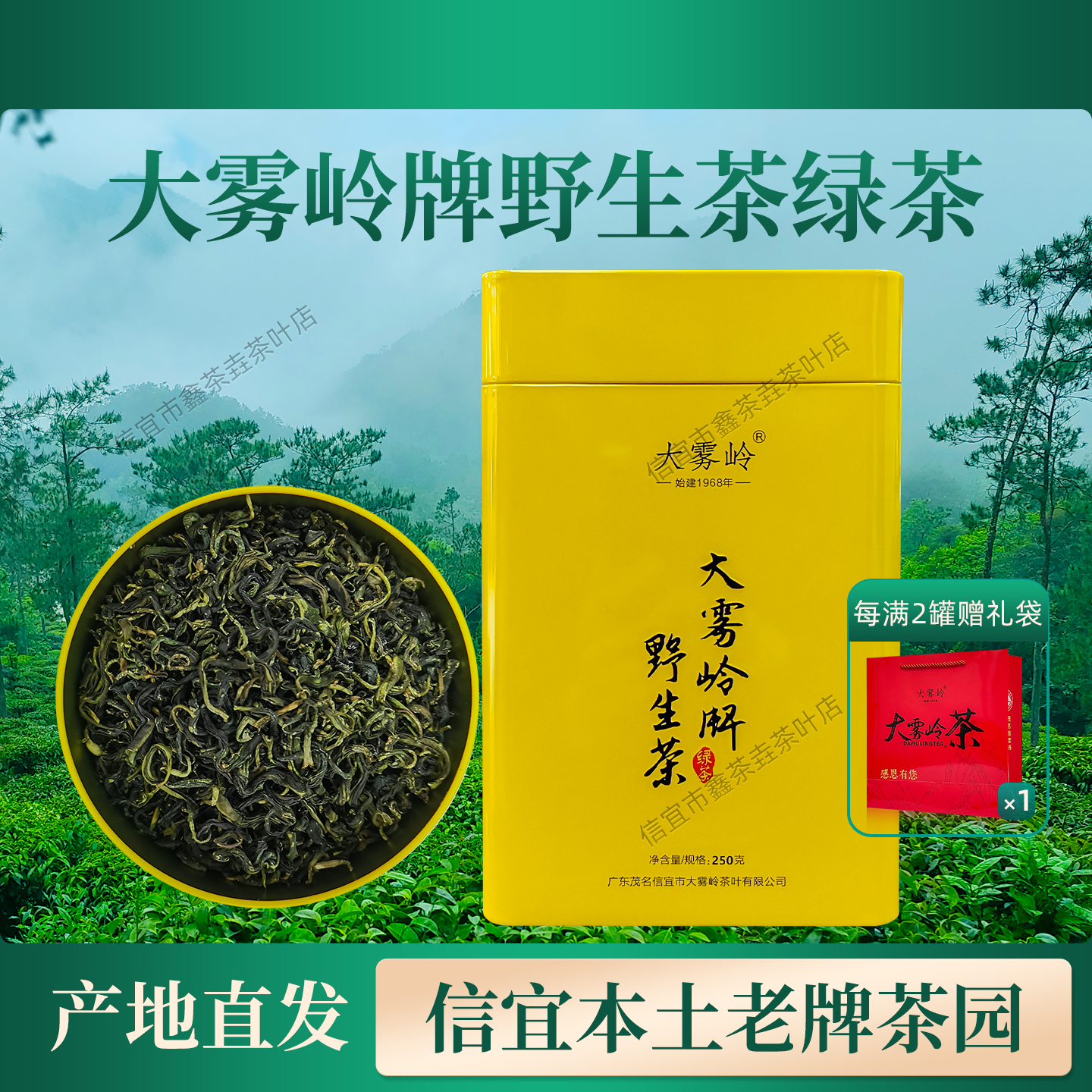 大雾岭茶信宜特产绿茶2025年新茶