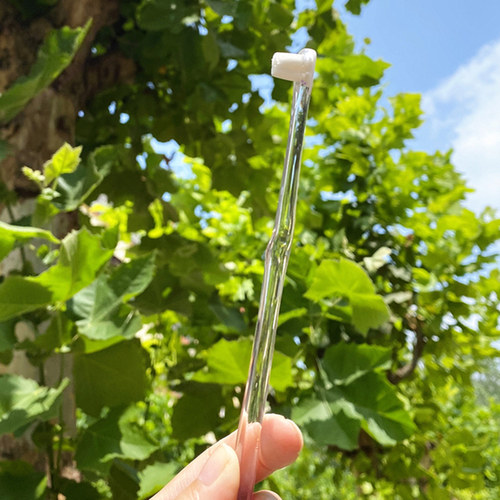 dodololi宠物狗狗牙刷小型犬泰迪