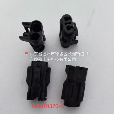 MG610320-5 KET