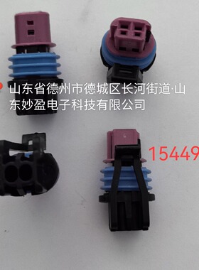 15449028 Delphi