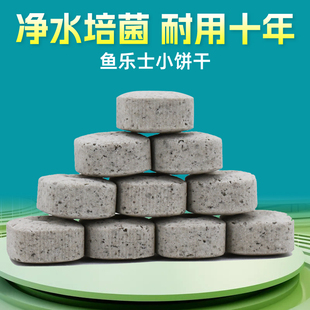 鱼乐士小饼干鱼缸过滤材料硝化细菌屋生化滤材周转箱过滤净水培菌