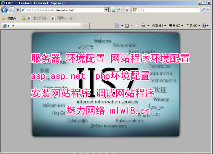 iis服务器搭建网站服务器环境其它设计服务