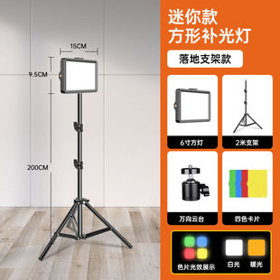 AYALEY300W补光灯led摄影灯直播间灯光室内人像主播用服装美食珠