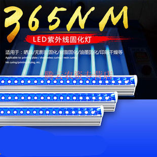 LED固化灯管紫外线uv胶固化灯大功率紫光灯365nm紫外线晒版灯led