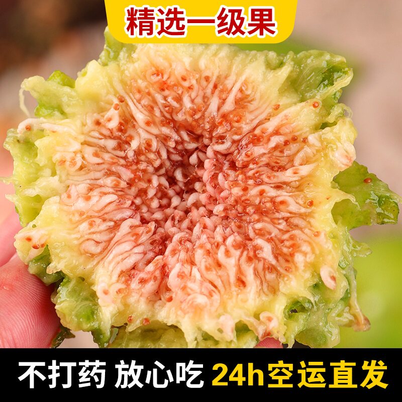 威海青皮无花果新鲜水果现摘现发应季非紫皮3斤精品空运包邮在类目 水产肉类/新鲜蔬果/熟食, 新鲜水果, 其它中 - 来自Buy2taobao.com提供专业的淘宝代购服务