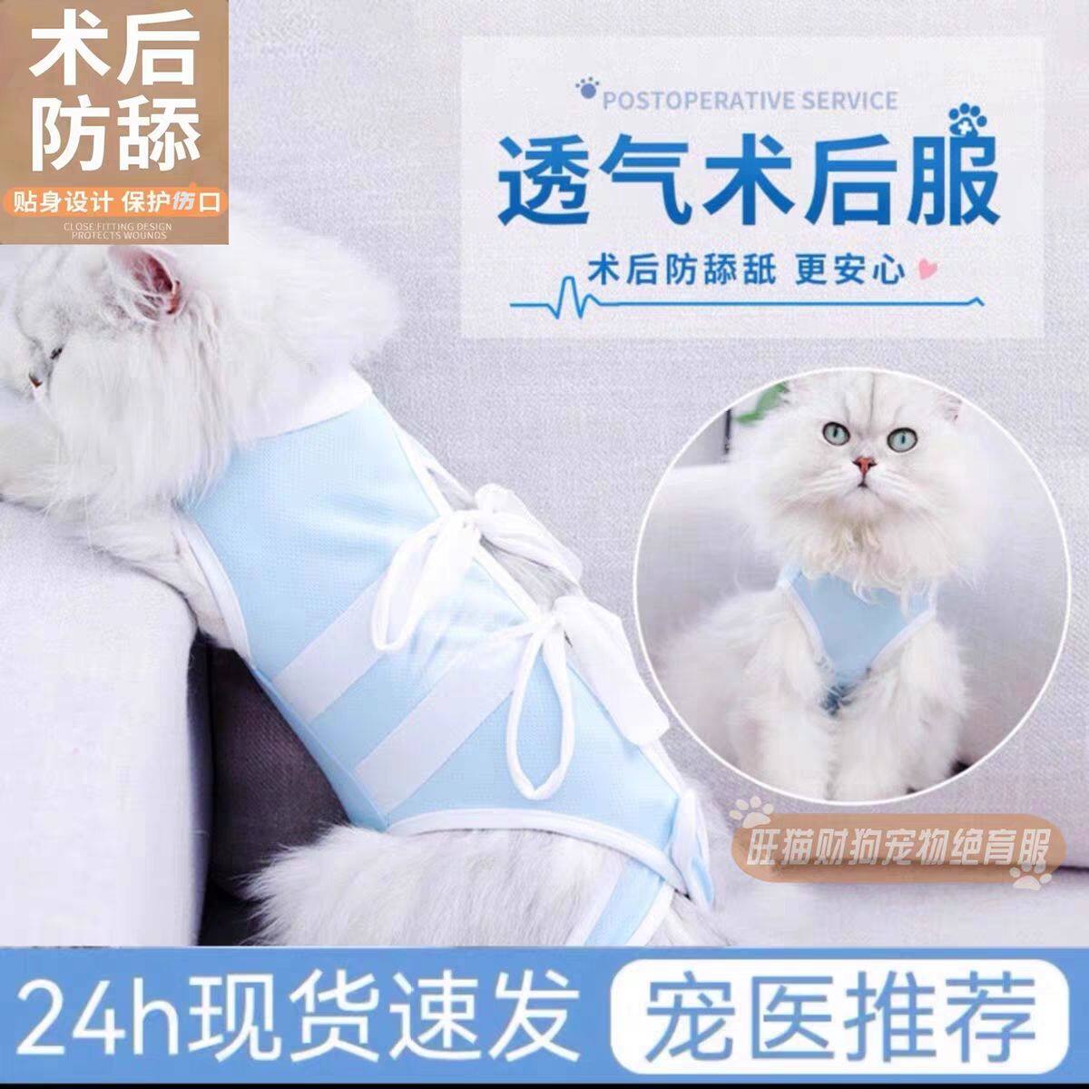 猫咪绝育服母猫手术服衣服防掉毛断奶公猫防舔术后宠物猫猫防护服