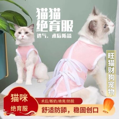 母婴级高质量猫咪宠物母猫绝育服