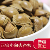 小银杏核新疆特产手剥小白杏开口带壳杏核炒货坚果零食500g 包邮