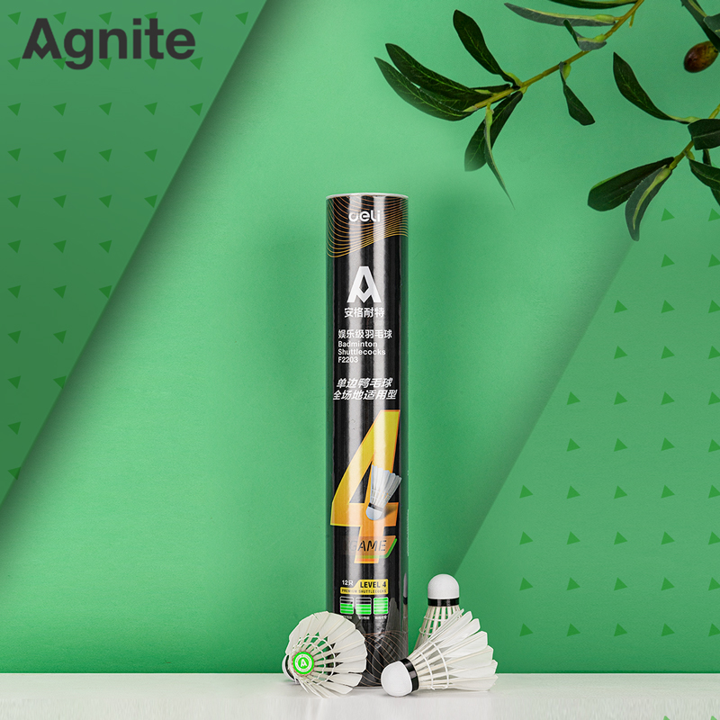 得力安格耐特羽毛球正品耐打鸭鹅毛室室外训练球不易打烂台纤球头