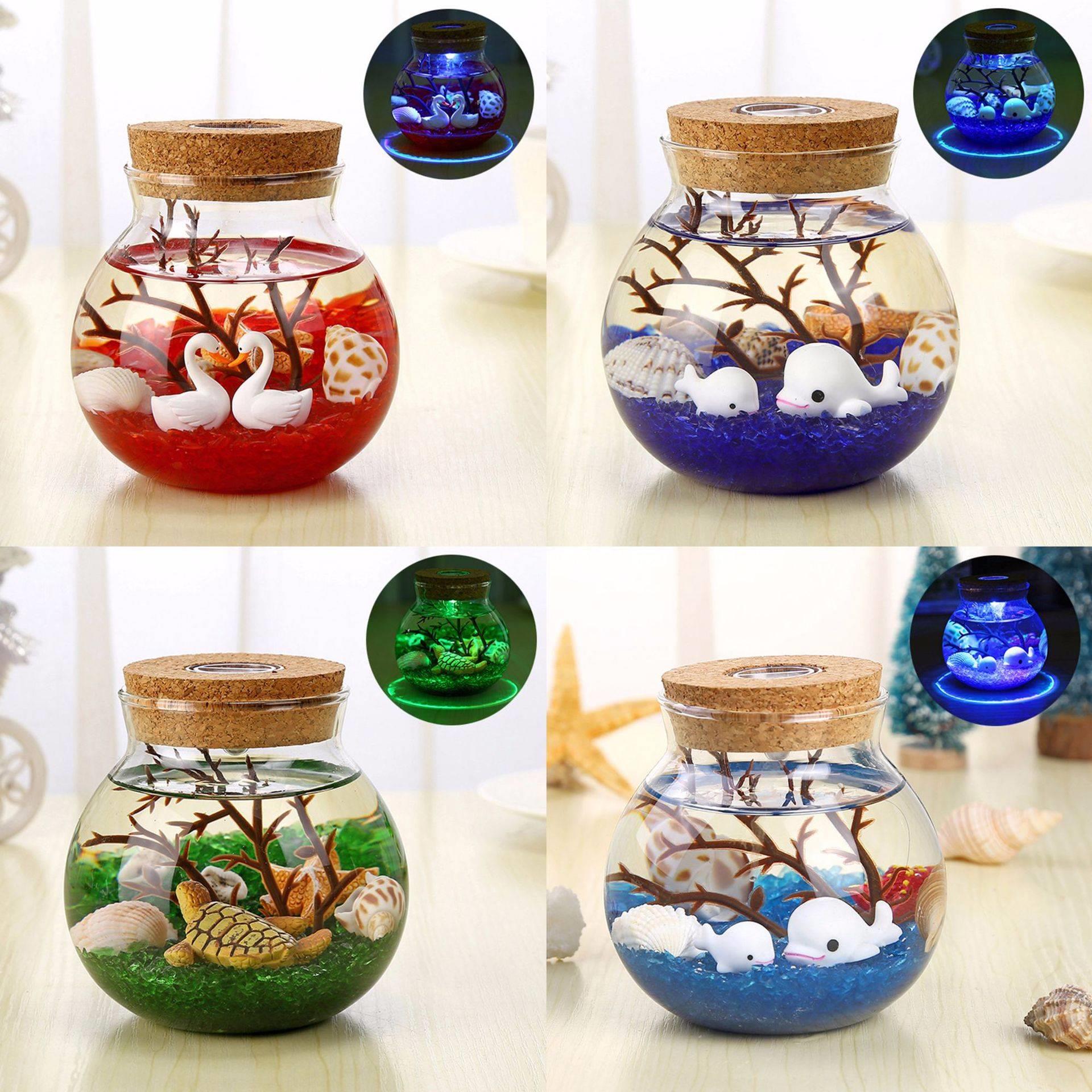 生态瓶科学diy微景观玻璃瓶小鱼生态瓶成品小学生科学课作业套装图片