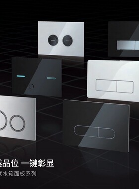 WDI威迪亚隐藏式水箱蹲便器按钮拉丝金不锈钢枪灰色