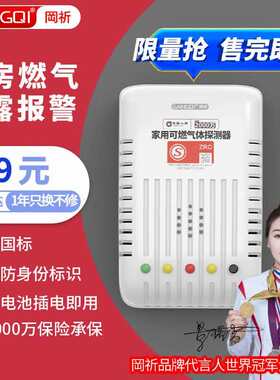 岡祈(Gangqi)燃气报警器天然气报警器厨房可燃气体探测液化天然气