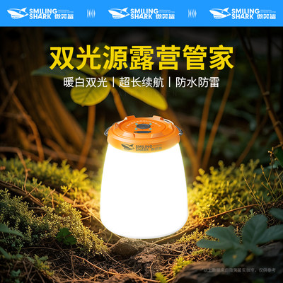 户外露营氛围灯小型便携长续航