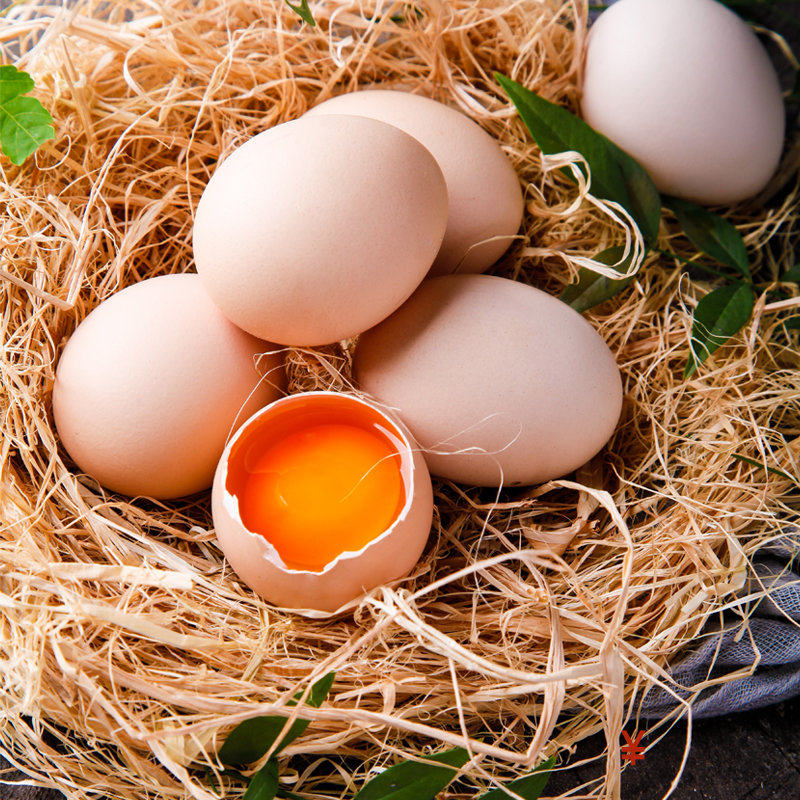 2025金寨土鸡蛋笨鸡蛋农家散养安徽六安新鲜笨土鸡蛋20枚顺丰包邮
