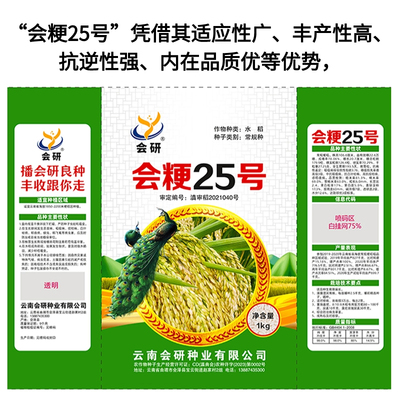 高海拔水旱两用水稻粳稻会粳25号