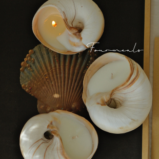 茉莉玫瑰海螺贝壳香薰蜡烛海洋生日礼盒伴手礼小物件 礼物 海