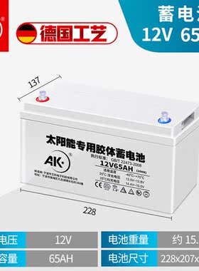 【旗舰自营】太阳能蓄电池家用22012v24v100ah户外露营专用电源备