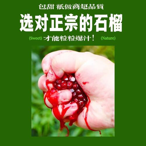 【晓果园】香甜爆汁！正宗四川会理突尼斯软籽石榴当季水果新鲜现