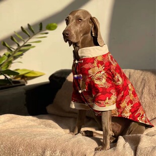 大狗狗过年喜庆衣服春秋薄款狗狗衣服大型犬新年拉布拉多金毛衣服