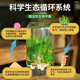 初中生物生态瓶diy材料自循环微景观科学作业生态玻璃鱼缸免打理