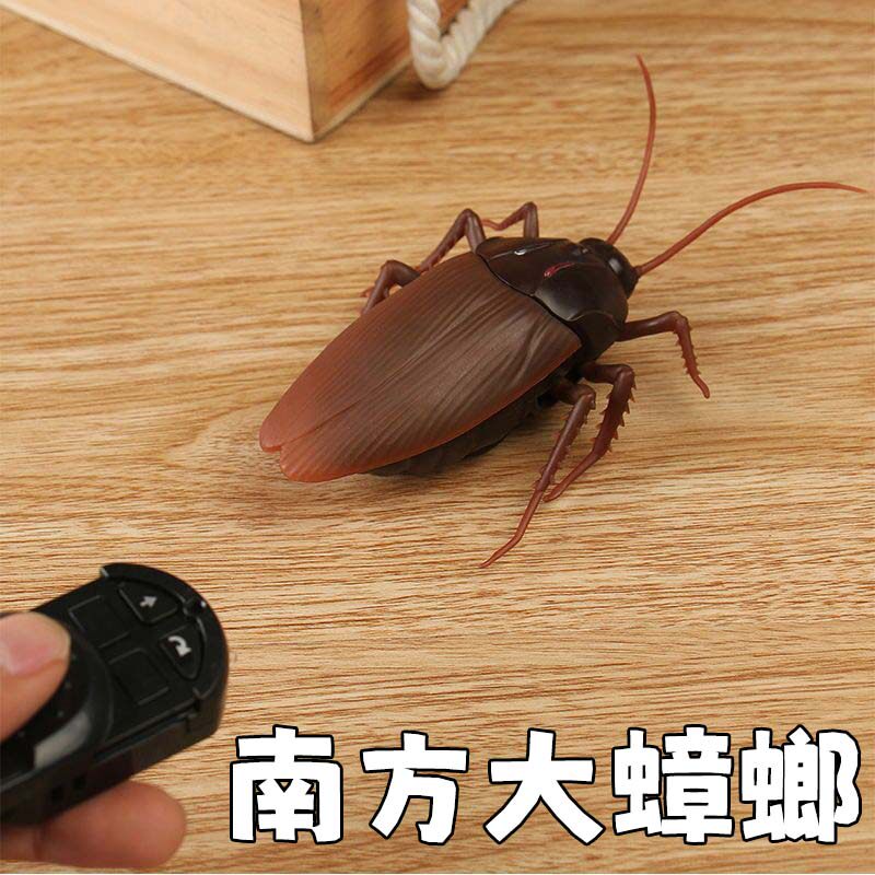 遥控蟑螂玩具电动仿真蟑螂动物