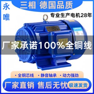 国标三相异步电动机全铜380v马达
