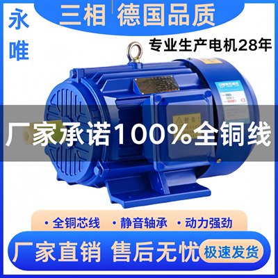 国标三相异步电动机全铜380v马达