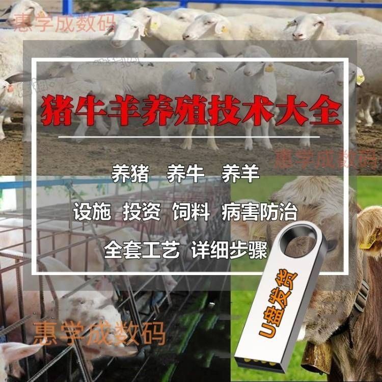 养猪养牛养羊视频U盘教程农业家刻录盘个性化服务