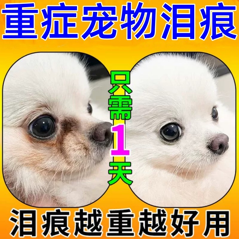 狗狗去泪痕神器去除液清洁眼屎去泪腺眼药水比熊泰迪狗宠物滴眼液