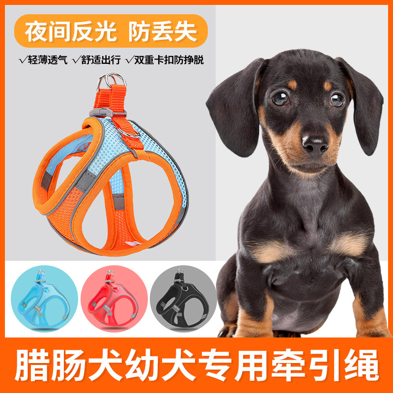 腊肠犬牵引绳幼犬专用遛图片