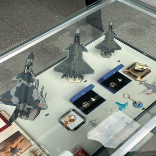 歼20纪念版 1:72全新现货中航工业智成受阅纪念版。未拆封正品嘎