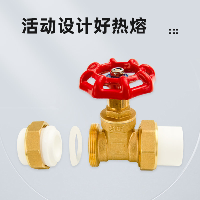 ppr双活接闸阀50铜32总阀门20自来水管开关25热熔4分40pe阀6分1寸
