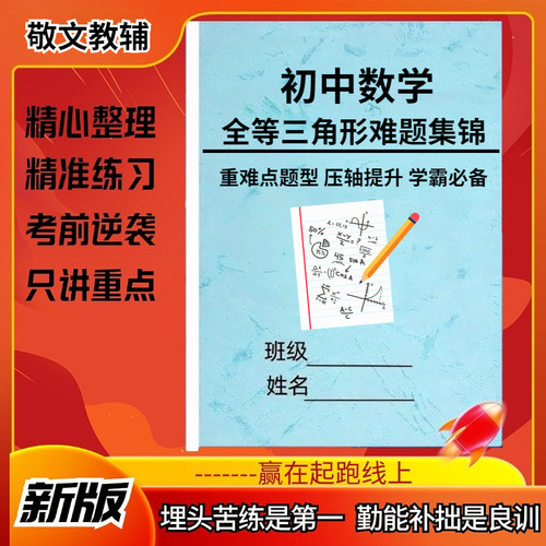 初中数学全等三角形难题训练