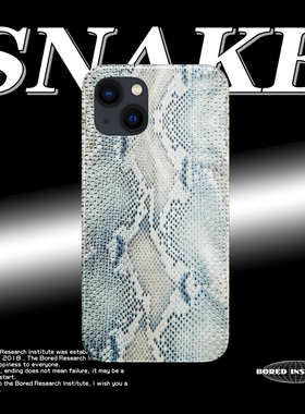 小众复古欧美蛇纹青色艺术简约亚文化适用于苹果IPhone15/14plus/13pro/12/11/16/16promax菲林手机壳IMD软壳
