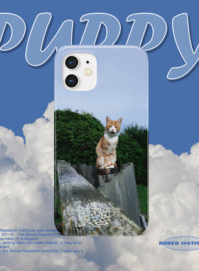 小众可爱橘猫蓝天白云适用于苹果IPhone11/12/13/14pro/15/16promax菲林手机壳imd硅胶软壳小米华为