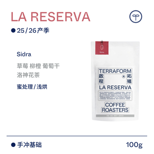Terraform 豆种漫邮 厄瓜多尔Sidra蜜处理咖啡豆 26产季