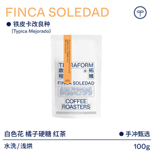 【Terraform】厄瓜多尔索莱达铁皮卡改良种水洗咖啡豆100g/16g