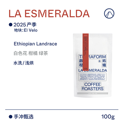【Terraform】 2025产季 白色花橘子巴拿马翡翠原生种水洗咖啡豆