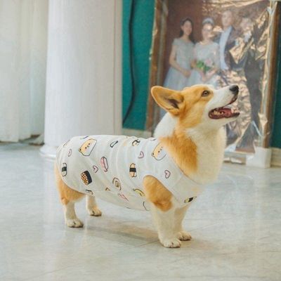 狗狗背心秋冬柯基泰迪柴犬衣服可爱卡通服装纯棉中型幼犬遛狗衣服