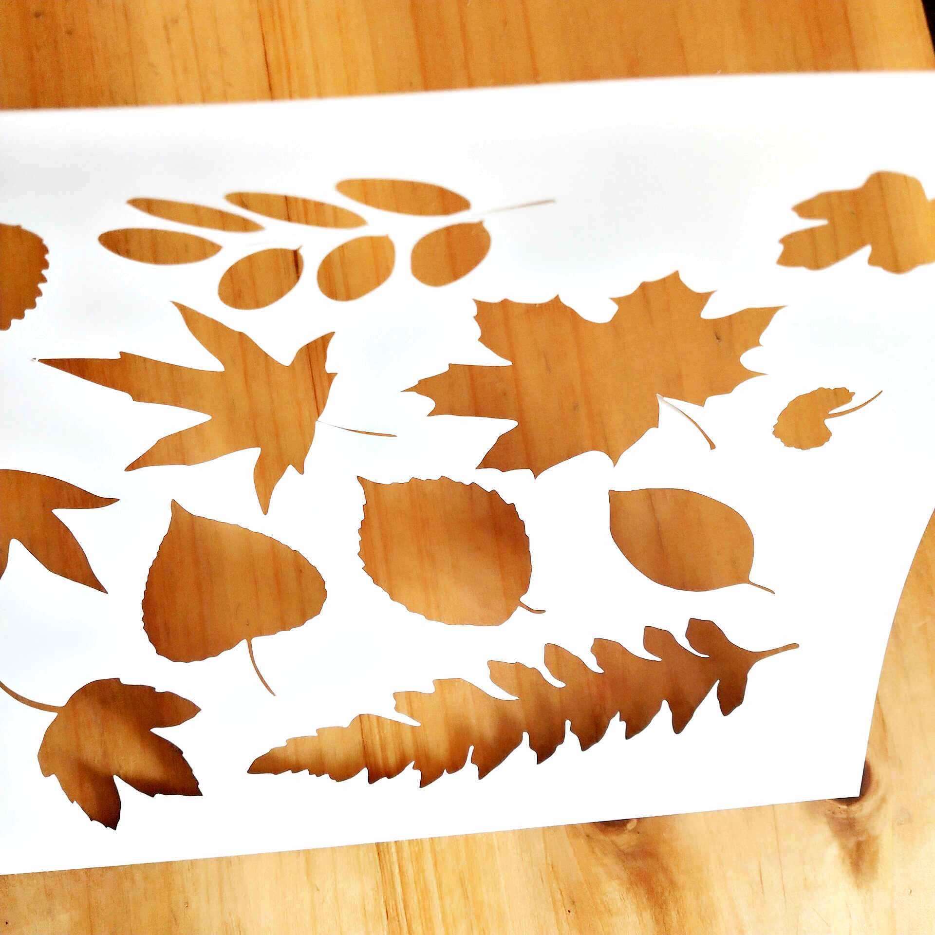 自然系列形态万千的叶子diy花朵成长镂空模板创意文化涂鸦820