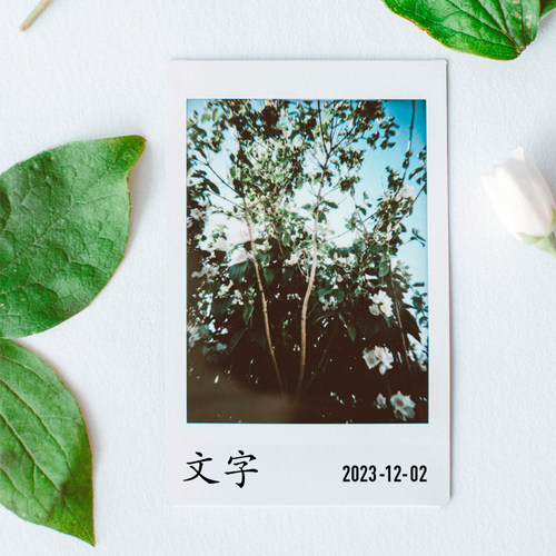 网红速干拍立得照片可用文字印章