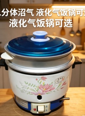 2L分体式沼气饭锅户外液化气饭锅家用气饭煲燃气电饭锅天然气锅