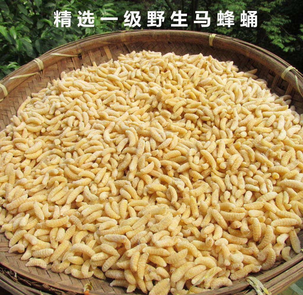 蜂蛹野生新鲜马蜂蛹一级活体冷冻胡蜂虫黄蜂蛹葫芦包蜂可泡酒500g在类目 传统滋补营养品, 蜂产品, 其它蜂产品中 - 来自Buy2taobao.com提供专业的淘宝代购服务