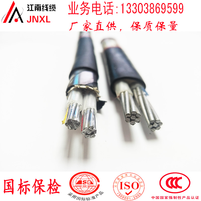 电线电缆2芯10/16/25/35/50/70平方国标铝线双层绝缘铠装铝电缆