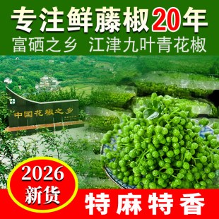 藤椒新鲜青花椒江津九叶青保鲜花椒特麻鲜藤椒重庆四川商用