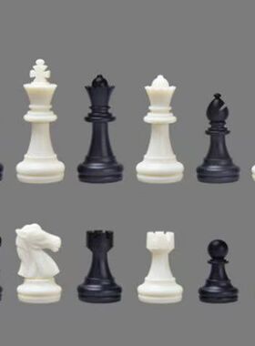 UB友邦磁性国际象棋单个棋子补子散子丢子儿童磁吸国际象棋子单买