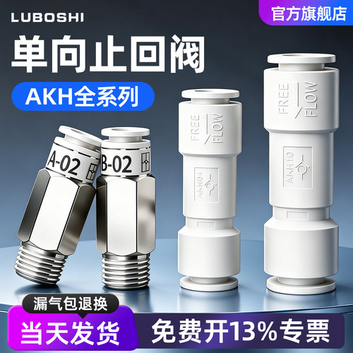 路泊仕AKB单向止回阀快插接头